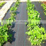 Anti uv Plastic Agricultural Woven pp Weed Control Mat thumbnail-4
