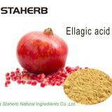Bulk Supply Pomegranate Fruit Extract?Ellagic?Acid?40% -90% Cas number 476-66-4