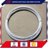 Galvanized Iron Wire for Binding thumbnail-3