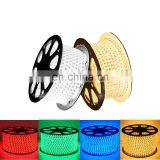 Wholesale Smart Neon Flex 220V Outdoor Flexible 5050 SMD 100m RGB Waterproof Led Strip/Led Strip Lights/Led Light Strip thumbnail-2