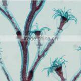 High Quality Zoology Slides ,high Quality Animal Slides thumbnail-4