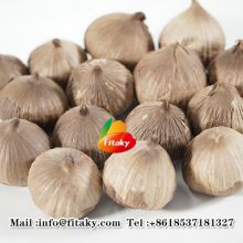 Black Garlic Product Bulk Sale