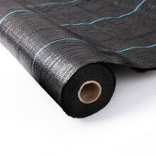Weed Mat Ground Cover For Blueberry Anti Grass Cloth In Pv Anti Grass Cloth For Solar Power Plant Earth Net Fabric Weed Barrier thumbnail-2
