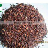 GLUTINOUS RICE thumbnail-1