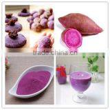 Purple Sweet Potato Powder thumbnail-1
