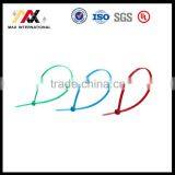 Heat Resisting Nylon 66 Cable Ties