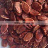 Red Watermelon Seed Wholesalers China thumbnail-2