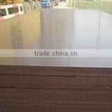 Film Faced Plywood, Black Film Faced Plywood thumbnail-2