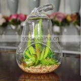 2016 New Style Home Decor Ashtrays Indoor Glass Plant Terrarium thumbnail-6