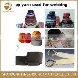 Good Quality PP Webbing Yarn PP Tape Yarn thumbnail-6