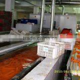 2016 New Crop Fresh Bulk Carrot for Sale thumbnail-4