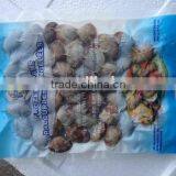 Cooked Whole Clams With Shell