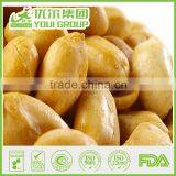 BRC Certified Peanuts Roasted Peanuts 1kg Price in Bulk Packing For Sale thumbnail-5