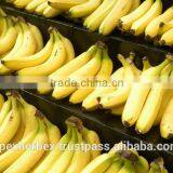 Banana Pulp Powder / Spray Dried Banana Powder / Powder of Banana Pulp