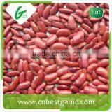 Small Red Kidney Beans Nutrition Facts thumbnail-4