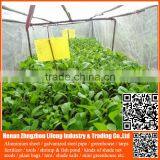 Top Selling 20/30/40/50 Mesh Hdpe Plastic Agriculture Greenhouse Vegetable and Fruit Anti-insect Net , Nylon Insect Net thumbnail-4