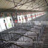 Pig Breeding Equipment/pig Farming Equipment/equipment for Pig/piglet Equipment thumbnail-1