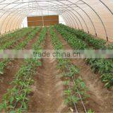 Drip Tape for Greenhouse and Vegetables thumbnail-6