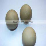 Engineering Plastic Products thumbnail-3