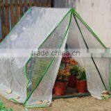 PE Cold Frame Greenhouse thumbnail-1