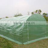 Polytunnel Green House Commercial Greenhouse6*3*2mt thumbnail-3