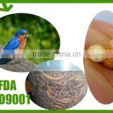 FDA Pet Food Suppliers High Protein Mealworm For Bird Food thumbnail-1