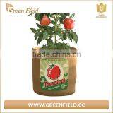 Green Field Jute Planter Bag, Jute Vegetable Garden Planting Jute Planter Bag thumbnail-5