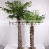 SJ2001205 Home Indoor Using Cocount Plam Tree Factory Outlet thumbnail-3