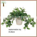 Artificial Watermelon Leaves Ivy Bonsai thumbnail-1