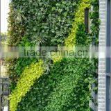Artificial Green Plant Wall for Partition Wall Decoration thumbnail-6