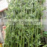 Artificial Bamboo Fence Cheap Artificial Bamboo Stick Bamboo Pole thumbnail-2