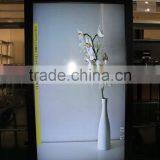 55inch FHD Digital LCD Display Monitor/advertising Player