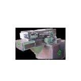 CZGAC/N Net Weight Scale Series Dosing Machines thumbnail-1