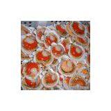 Sell Frozen Half Shell Scallops thumbnail-1