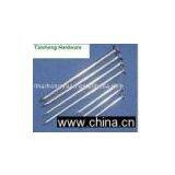 Common Nails thumbnail-1