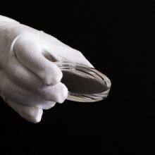 Premium 1.591 Polycarbonate Blue Light Lenses thumbnail-2