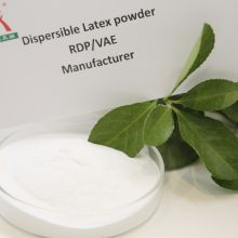 Dispersible polymer powder(RDP)