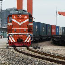 LCL Consol Rail Transport to Poland Warsaw,Rotterdam Netherlands,Milano Italy,Moscow Russia From China, China Sino-Euro Railway thumbnail-2