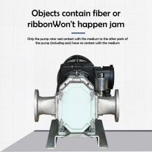 QinPing QP120M Stainless Steel Lobe Pump Double End Seals-with Variable Frequency Motor thumbnail-2