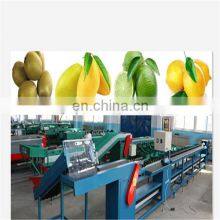 Tomato Grading Machine for Easy Operation thumbnail-2