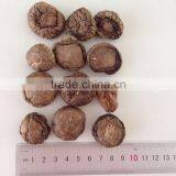 Polish Wild Dried Mushrooms thumbnail-2