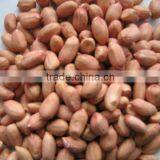 Bulk Raw Peanuts thumbnail-1
