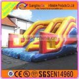 Factory Direct Inflatable Slide ,giant Inflatable Dry Slide for Kids and Adults thumbnail-2