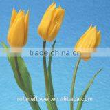 Holland Fresh Yellow Tulip Cut Flower From Kunming Yunnan thumbnail-2