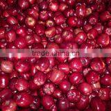 Export Red Delicious Apple Company thumbnail-5
