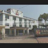 Shenzhen Suoyana Electronic Company Limited company overview - view 1 thumbnail