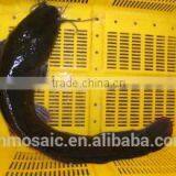 Live Fresh Catfish Wholesale thumbnail-1