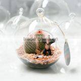 Geometric Glass Terrarium Wholesale thumbnail-5