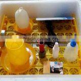 High Quality Drinker and Feeder (Mob/whatsapp:0086-15266968635) thumbnail-3