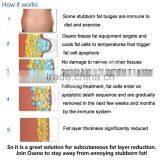 LM-S600P Cool Tech Fat Freezing Machine Cryo Slimming Liposuction Machine thumbnail-5